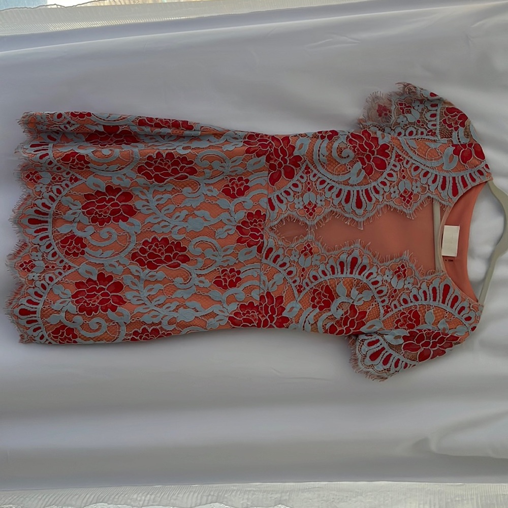Stunning lace sheer panel cocktail dress - perfect for a summer wedding guest